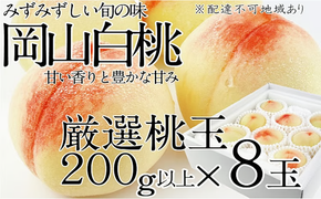 桃 2026年 先行予約 岡山の白桃 200g以上×8玉 白桃 旬 みずみずしい 晴れの国 おかやま 岡山県産 フルーツ王国 果物王国 デザート 岡山の桃 旬の桃 [№5735-1326]