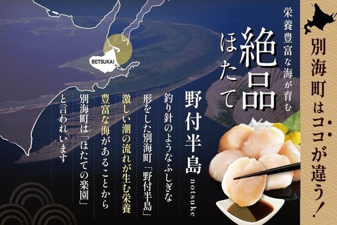 北海道野付産 特大ほたて 500ｇ 個包装（10〜13⽟前後）（Lサイズ）【KN0000025】
