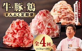 mrzZ021 国産 牛肉＆豚肉＆鶏肉 まんぷく 定期便 5kg×4回【氷温熟成×極味付け 3種 食べ比べ 普段使い 味付き 小分け 訳あり サイズ不揃い 】