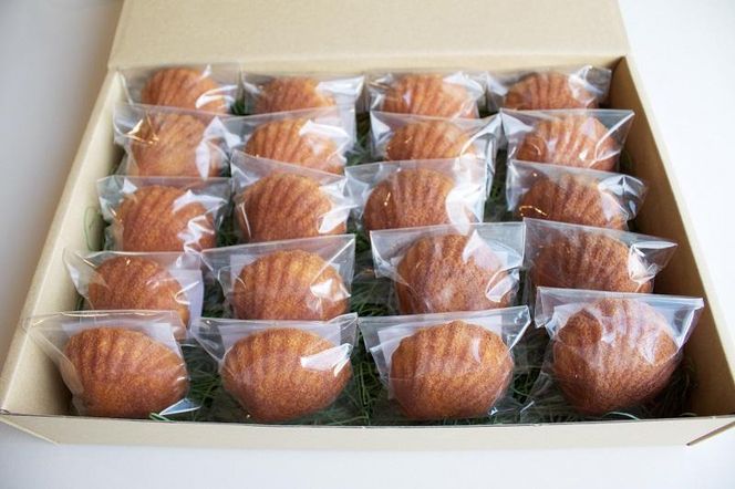 宮前区産 新鮮卵のはちみつマドレーヌ 20個入り 141305_DF08