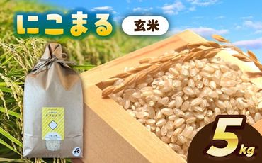 ＼11月〜選べる配送月/にこまる 玄米 5kg お米 ご飯 愛西市/株式会社戸倉トラクター[AECS064]