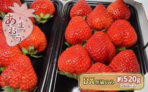 いちご あまおう DX 等級のみ 約520g（260g×2パック）配送不可 北海道 東北 沖縄 離島 