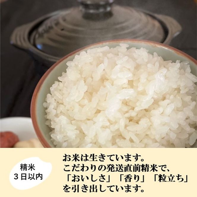 【令和8年産】【日本農業賞大賞】ゆめみづほ2.7kg精白米 能美市 お米 精米銘柄米 ご飯 おにぎり お弁当 和食  粘りが少ない 精米したて 一等米 172111_AE008