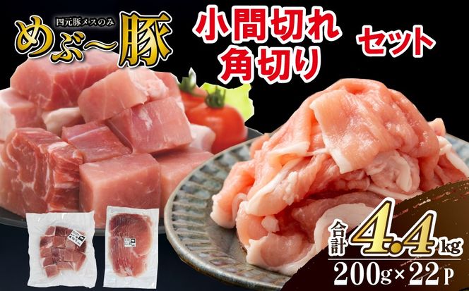 y{茧юszynuh؁z߂ԁ` Ԑ؂Ep؂Zbg v4.4kg