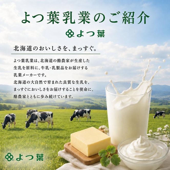 定期便 3ヵ月毎 全3回 よつ葉 「北海道 十勝シュレッドチーズ[要加熱]」3kg【 よつ葉 美味しい チーズ グラタン ピザ 大容量 業務用 北海道 十勝 幕別 】