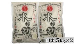 有機米こしひかり「水の精」白米5kg×2個 お米 コシヒカリ 石川県産 