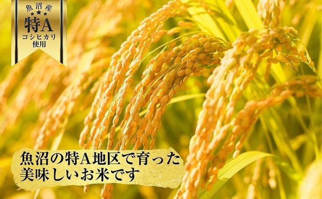 新潟県 魚沼産 備蓄 コシヒカリ ご飯 200g×20 パック ごはん レンジ 簡単 巣籠り 無添加 パックご飯 ブランド米 便利 簡単調理 温めるだけ 