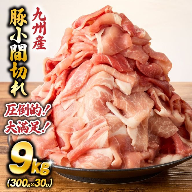 九州産豚小間切れ 9kg 300g×30P（国産 豚 豚肉 小間切れ 豚小間 豚こま 切り落とし 真空 小分け 冷凍 宮崎県 小林市 ）