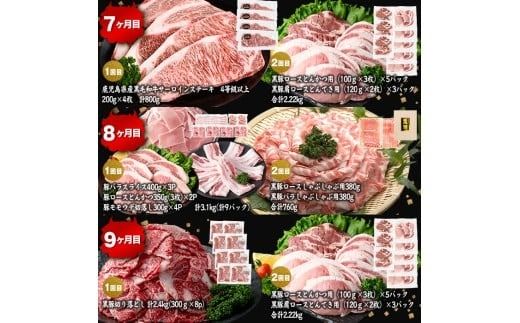 【定期便11ヶ月】ししまる定期便S(11ヶ月連続 月1～2回お届け！・計44.06kg) t0372-001