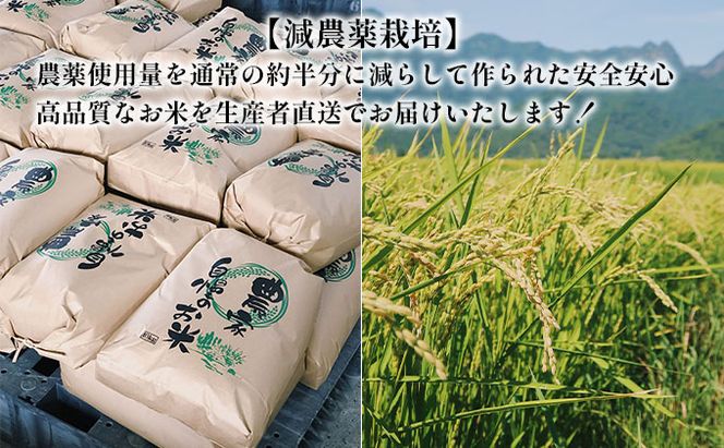 【令和8年度】北海道 富良野産 ゆめぴりか 減農薬 5kg 米 (山本農園) お米 ご飯 ごはん 白米 定期 送料無料 北海道 富良野市 道産 直送 ふらの
