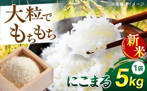 【先行受付中】【令和8年産 新米】 にこまる 玄米品質1等米 白米 5kg 【2026年10月下旬以降順次発送】  糸島市 / 糸島の恵み コメ こめ ご飯[AGR001]