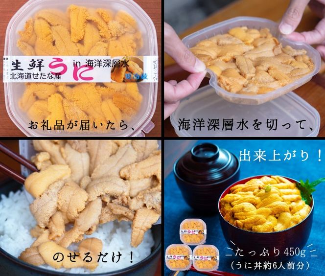 【2025年6月中旬から順次発送】【北海道せたな町産】生鮮生うに(150g×3パック)