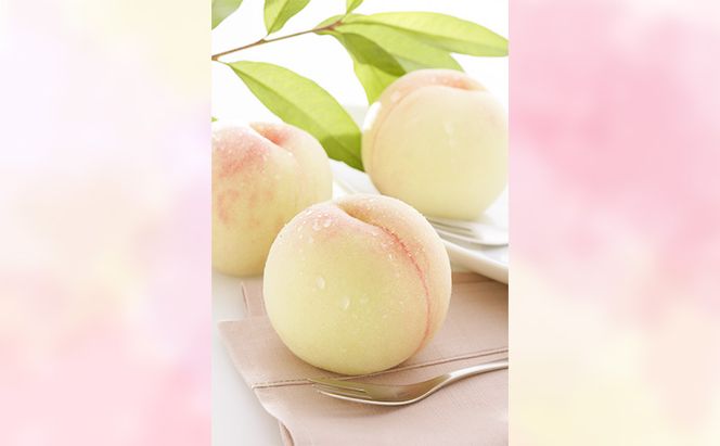 もも 2026年 先行予約 【ご家庭用】 岡山白桃 エース (晩生) 4～5玉 約1.2kg  (8月中旬～8月下旬出荷予定)