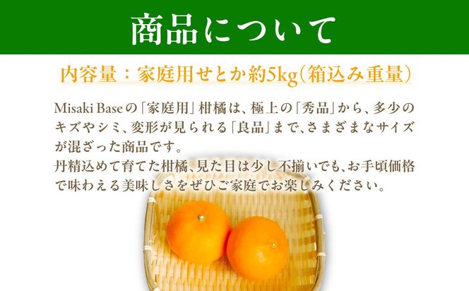 【先行予約】【家庭用】せとか 約5kg ※離島への配送不可（2026年3月より順次発送） IKTAB001 