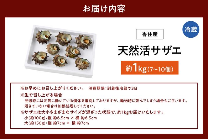 【兵庫県香住産 天然 活 サザエ 1kg（7～10個）冷蔵】香住で水揚げされた新鮮なサザエをお届け つぼ焼き 炊き込みご飯 サザエ飯 酒の肴 磯の香り 風味豊か さざえ 新鮮 天然 海鮮 大人気 夏休み BBQ バーベキュー キャンプ お盆 海 日本海 兵庫県 香美町 香住 柴山 宿院商店 33-19