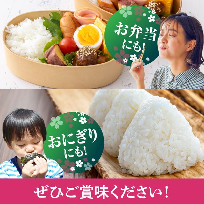 BB6222_和歌山県産 キヌヒカリ 20kg ( 10kg × 2）2025年産