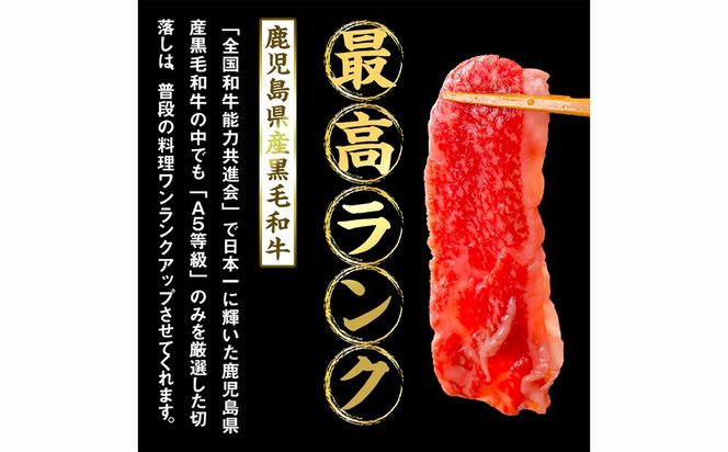 【小分け】＜A5等級＞鹿児島県産黒毛和牛 切り落とし(250g×10P・計2.5kg) c0-121