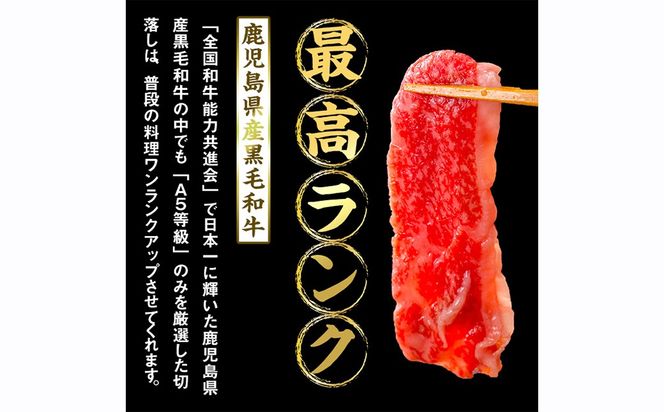 【小分け】＜A5等級＞鹿児島県産黒毛和牛 切り落とし(250g×10P・計2.5kg) c0-121