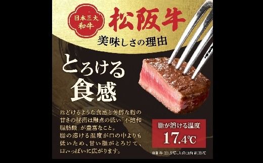 【3.6-10】松阪牛 A5 ヒレステーキ 240g（120g×2枚）　( 牛肉 ブランド牛 高級 和牛 国産牛 松阪牛 松坂牛 ステーキ ヒレ ヒレステーキ 牛肉 ステーキ 松阪牛 牛肉 ステーキ 冷凍 人気 おすすめ ランキング 三重県 松阪市 松阪牛 ヒレ ステーキ フィレ フィレ肉) 
