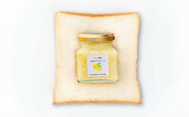 はるかバター 小 1個 糸島市 / 糸島正キ  みかん ジャム クリーム[AQA059] バター フルーツバター はるか みかん ジャム かわいい ギフト 贈り物