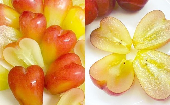 ぶどう 【2026年 早期受付】 マイハート 1房 約500g ブドウ 葡萄 岡山県産 国産 フルーツ 果物 ギフト [№5735-2088]