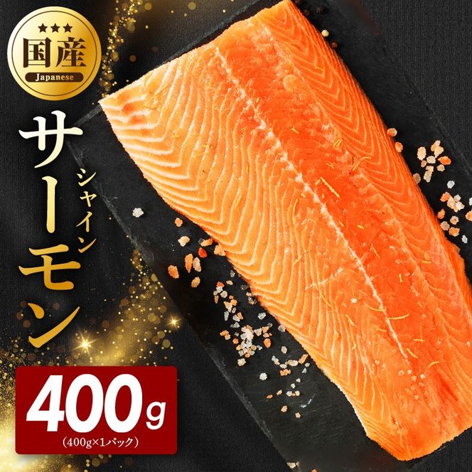 G5602 シャインサーモン 400g×1P【国産 小分け さーもん 鮭 さけ