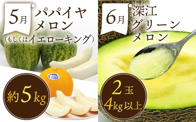 【3回コース】果物屋が選ぶ旬のフルーツ定期便 いちご メロン びわ みかん 梨 柿 など / 南島原市 / 贅沢宝庫 [SDZ024] 