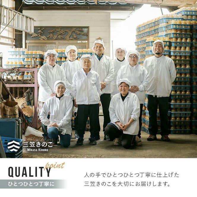 生ブラウンえのき茸(20袋・計3.6kg)国産 エノキ きのこ 茸 キノコ 個包装【三笠えのき茸生産組合】akn010-09