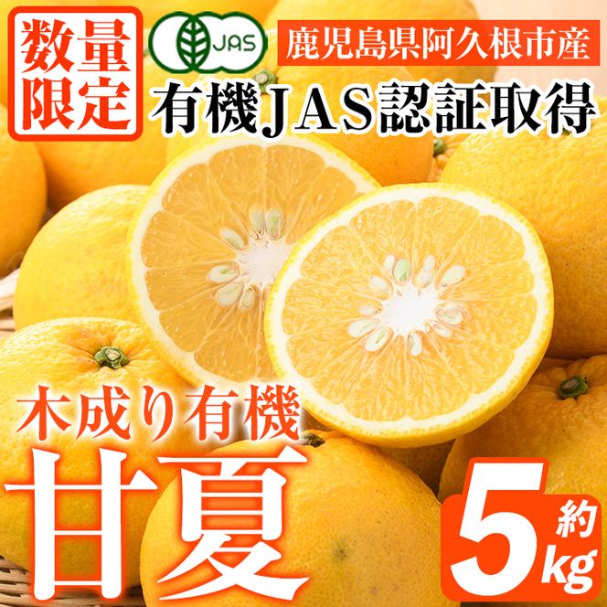 数量限定！有機JAS 木成り甘夏(約5kg) 国産 果実 果物 フルーツ 柑橘 デザート きなり 木なり あまなつ みかん ミカン 蜜柑 期間限定 有機栽培 【中村農場】akn084-09