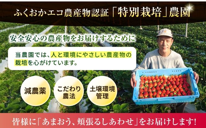 【農家直送！】【先行受付】糸島産あまおう 280g×2パック (DXまたはGサイズ)   【2026年12月以降順次発送】糸島市 / 後藤農園 [AML001] いちご 福岡