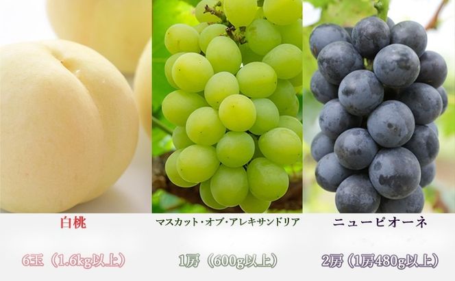 桃 ぶどう 梨 定期便 2026年 先行予約 晴れの国 岡山 の フルーツ 定期便 6回コース もも 葡萄 なし 岡山県産 国産 セット ギフト 白桃 ニューピオーネ シャインマスカット 晴王 紫苑 あたご梨