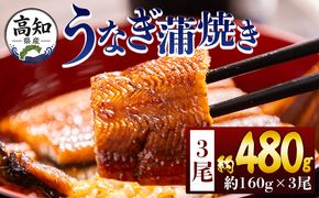 うなぎ 高知県産蒲焼きうなぎ １６０ｇ ３尾 計４８０ｇ fb-0153