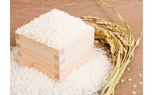 令和7年産米 真庭市産 太安さんちのあきたこまち 無洗米 5kg / お米 岡山県 人気 ブランド 2025年産 【tkns016-01-cho】