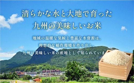 【2ヶ月毎3回定期便】 はるかおり10kg 計30kg ／ 米 コメ お米 ライス ご飯 ごはん 飯 食品 精米 定期便 常温 福岡県 香春町