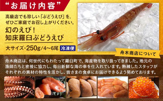 幻のぶどうえび（大・250g /4～6尾）エビ 海老 ブドウエビ 羅臼町 北海道 魚介類 魚介 海産物 冷凍 生産者 支援 応援 016942_AH079