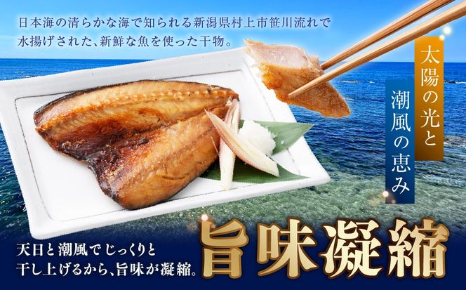 新潟県村上市笹川流れで水揚げ　旬の干物魚6点セット（店長おまかせ）1057001