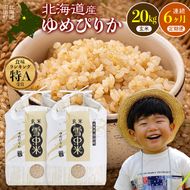 令和8年産【定期便6ヶ月】ゆめぴりか 玄米 20kg（10kg×2袋） 【11月発送】開始 雪冷気 籾貯蔵 雪中米 北海道 nr-3585