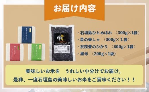 石垣島産お米の食べ比べセット 合計1.1kg【石垣島産 ひとめぼれ】【星の美しゃ】【於茂登のひかり】【黒米】【美味しいお米をうれしい小分けでお届け】KB-15