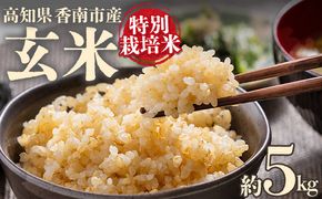 令和８年度産 玄米（特別栽培米）5kg 【8月下旬以降順次配送】 お米 こめ コメ げんまい おにぎり お弁当 毎日のご飯 特別栽培米 キロ ふっくら つやつや 冷めても美味しい お取り寄せ 国産 ka-0001