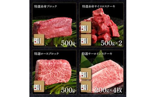 土佐和牛詰め合わせ8種Bセット 長期熟成肉 8種 詰め合わせ セット 田野屋銀象 完全天日塩付き 牛肉 肉 お肉 和牛 国産 牛 赤身 ヒレ カルビ ロース ブロック【株式会社LATERAL】 [BQAU067]