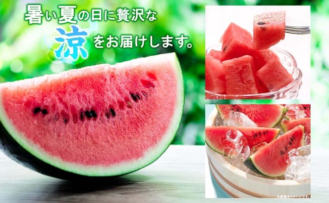 北海道 大玉 スイカ ゴジラのたまご 木箱入り 1玉 約8kg 2026年7月初旬より順次出荷 すいか 西瓜 果物 フルーツ 旬 希少 貴重 甘い ユニーク 国産 産地直送 ギフト 贈答品 お取り寄せ エーコープつきがた