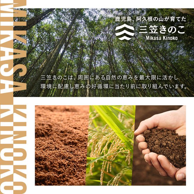 濃いえのき黒(20袋・計460g) 国産 黒えのき エノキ きのこ キノコ 味茸 セット 個包装 【三笠えのき茸生産組合】akn010-20