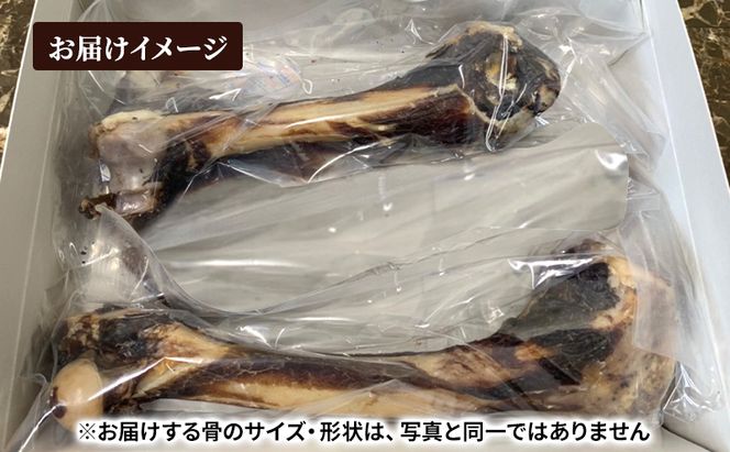 犬 おやつ 北海道 エゾシカボーン ※大型犬向き  [お口のケア 口臭・歯石対策] 国産 ジビエ 犬のおやつ 犬用おやつ ペットのおやつ ペット 骨 おもちゃ 鹿骨 鹿 エゾシカ 口臭 口臭ケア 歯石対策 しつけ ドッグフード ペットフード ペット用品 餌