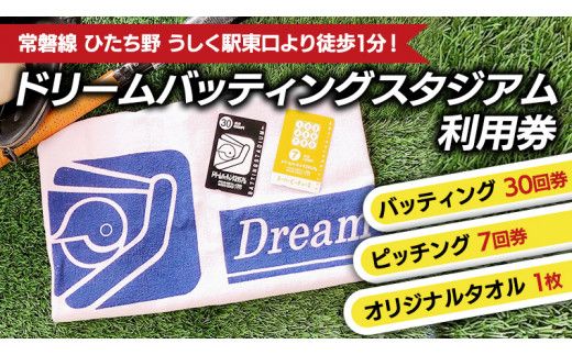 バッティング30回券・ピッチング7回券[CA003us]