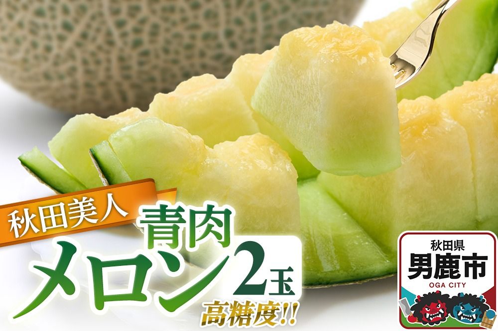R7年度産 先行受付 メロン2玉(秋田美人) 秋田県 男鹿市|23_bla-020201
