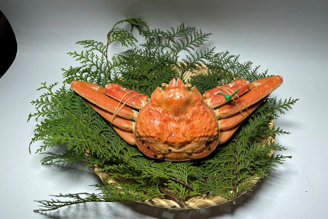 間人漁港仲買人の丸友鮮魚三代目・自慢の間人ガニ≪茹で≫[1匹  900~1kg]　MG00009