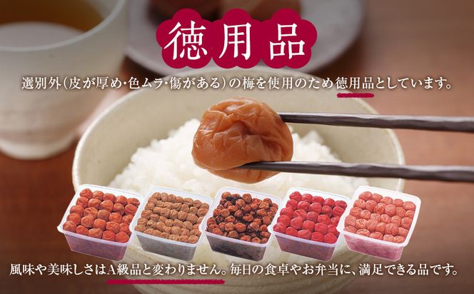 紀州南高梅 徳用 はちみつ梅 1.5kg×1箱 ［Kn7］ 303446_CQ007