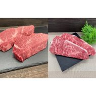 伊賀牛 ヒレステーキ（約180g×2枚）＆サーロインステーキ（約200g×2枚）セット cook0043