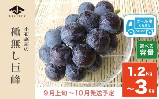 長野県産 種無し巨峰 約1.2kg 約1.8kg 約3kg 選べる内容量 ［小布施屋］ 果物 フルーツ ぶどう 葡萄  種無し 種なし 令和8年産【2026年9月上旬～10月発送】