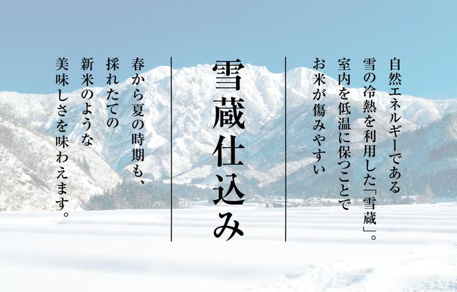 T-16【令和7年産 頒布会】無洗米 魚沼産コシヒカリ 4kg×全12回米 コメ こしひかり 精米 ブランド米 お取り寄せ 十日町市